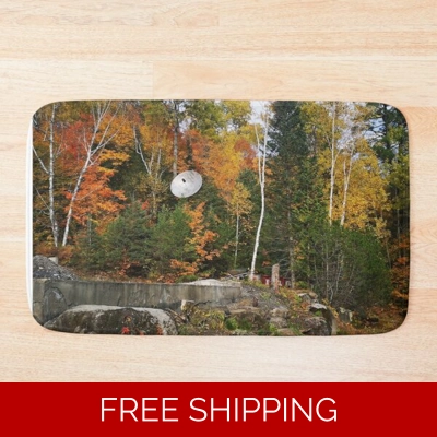 Le Studio Bath Mat Satellite Dish Fall 2019